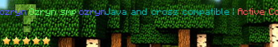 play.ozryn.com Server Banner