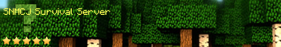 play.scepternetwork.com Server Banner