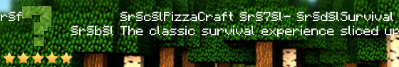 pizzacraftserver.co Server Banner