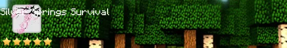 sssminecraft.com Live Banner
