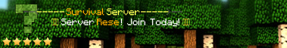 play.survivalserver.org Server Banner