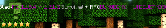 blackmc.com.pl Server Banner