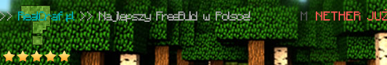 RealCraft Server Banner