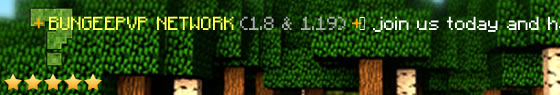 bungeepvp.de Server Banner
