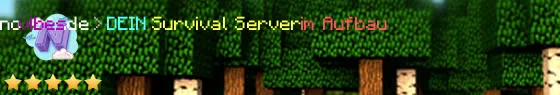 NoVibes.DE Minecraft Network Live Banner