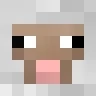 play.sheepcraft.nl Favicon