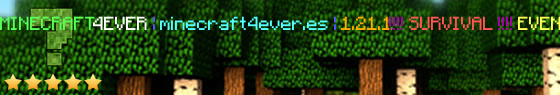 minecraft4ever.es Server Banner