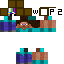 235212 Minecraft skin texture