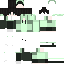 202683 Minecraft skin texture
