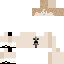 222805 Minecraft skin texture