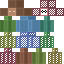 196275 Minecraft skin texture
