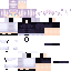 198372 Minecraft skin texture