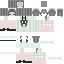 212221 Minecraft skin texture