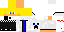 209034 Minecraft skin texture
