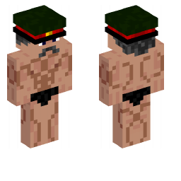 Minecraft Skin #150451