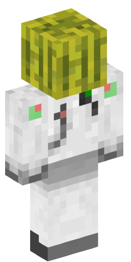 Minecraft Skin #151977