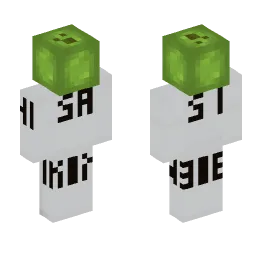 Minecraft Skin #155441