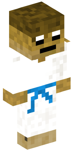 timpekol Minecraft Skin Preview on Minecraft.Co.Com
