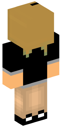 briann Minecraft Skin Preview on Minecraft.Co.Com