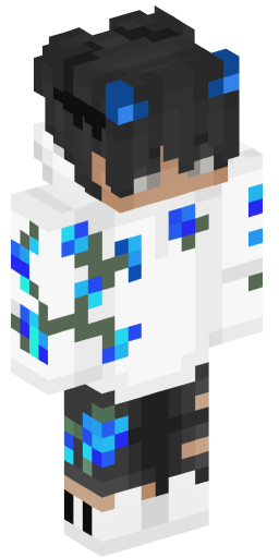 Minecraft Skin #162448