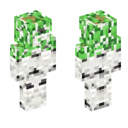 Minecraft Skin #162681