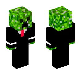 Minecraft Skin #164764