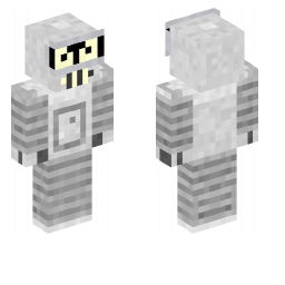 Minecraft Skin #165901