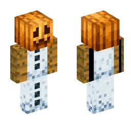 Minecraft Skin #166337