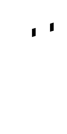 Notlax2k Minecraft Skin Preview on Minecraft.Co.Com