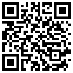 InspKugelblitz QR Code