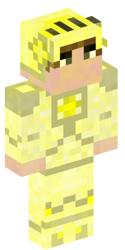 Minecraft Skin #170525