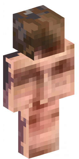 Minecraft Skin #173220