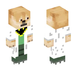 Minecraft Skin #174720