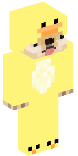 Doge4557 Minecraft Skin Preview on Minecraft.Co.Com