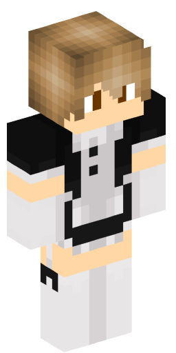 Minecraft Skin #179008