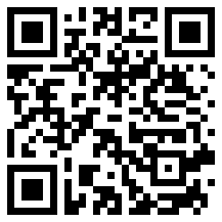 Denisok QR Code