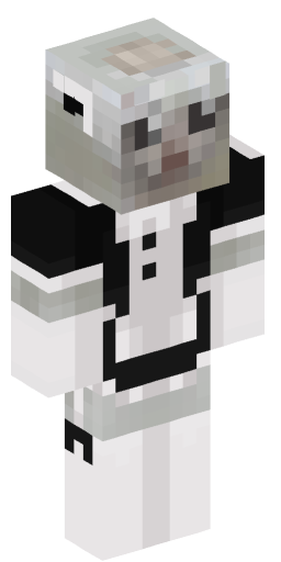 Im5orry Minecraft Skin Preview on Minecraft.Co.Com