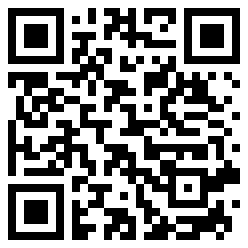 holyydust QR Code