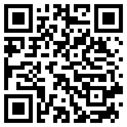 haiden QR Code