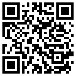Optimum QR Code