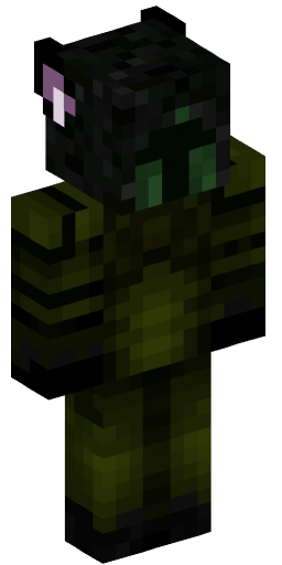 tomi98765432 Minecraft Skin Preview on Minecraft.Co.Com