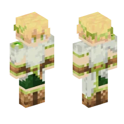 Minecraft Skin #191604