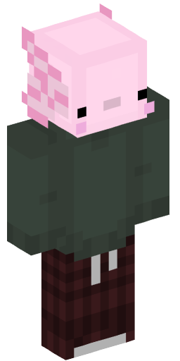 piggou25_ Minecraft Skin Preview on Minecraft.Co.Com