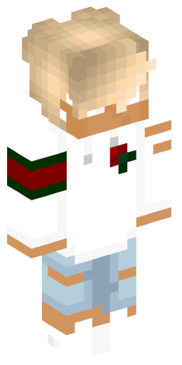 Rechtshandig Minecraft Skin Preview on Minecraft.Co.Com