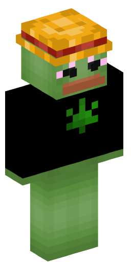 Photoflash Minecraft Skin Preview on Minecraft.Co.Com