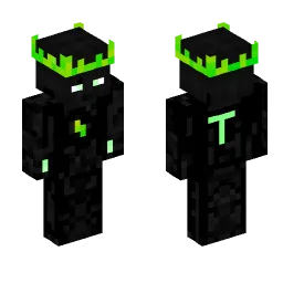 Minecraft Skin #197919