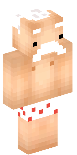 Minecraft Skin #198577