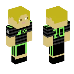 Minecraft Skin #198939