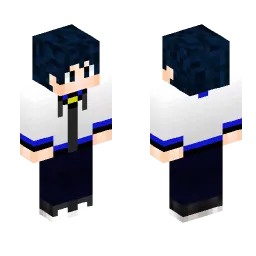 Minecraft Skin #200451