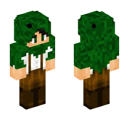 Minecraft Skin #201209
